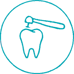 Endodoncia